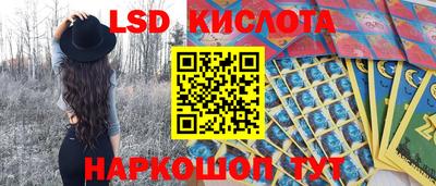 меф Гатчина