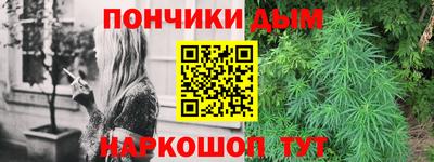 меф Гатчина