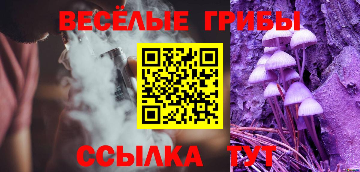 Галлюциногенные грибы Psilocybe Новочебоксарск