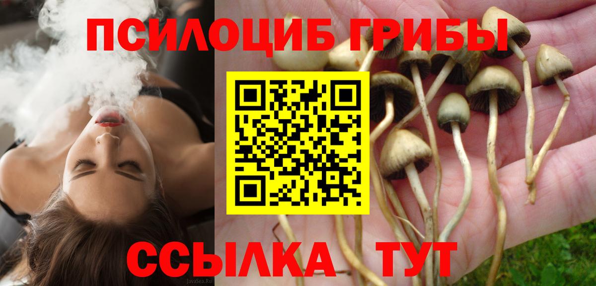 Псилоцибиновые грибы Psilocybine cubensis  Вход с VPN  Новочебоксарск  Галлюциногенные грибы Magic Shrooms 